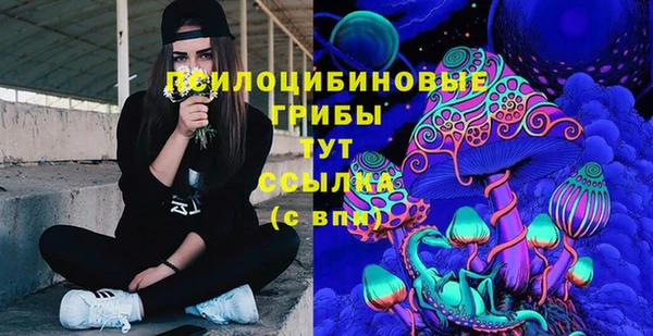 скорость Белокуриха