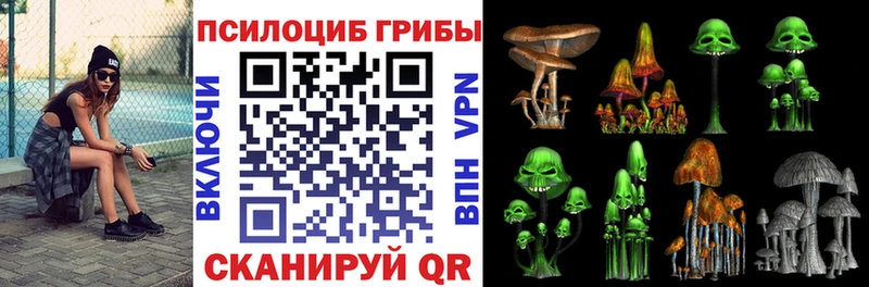 как найти закладки  Соль-Илецк  MEGA ТОР  Галлюциногенные грибы Magic Shrooms 